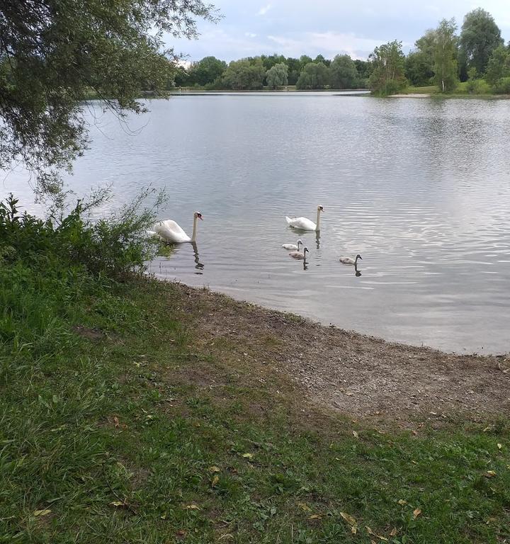 Lauterbacher am See